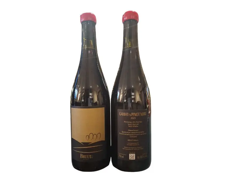 Dappersveld- Gamay x Pinot Noir 0,75L