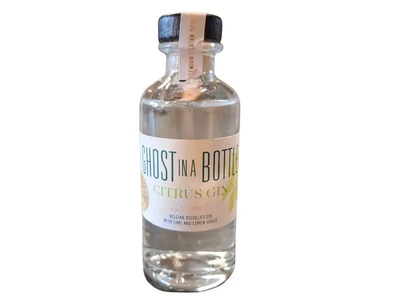 Ghost in a Bottle - Citrus Gin 0,100L