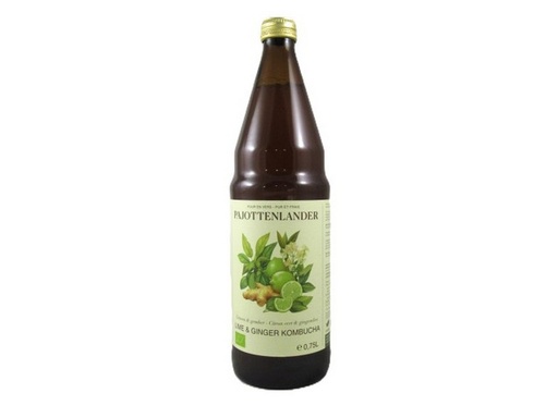 [PA.LGKG75] Pajot Limoen - Gember Kombucha 0,75L