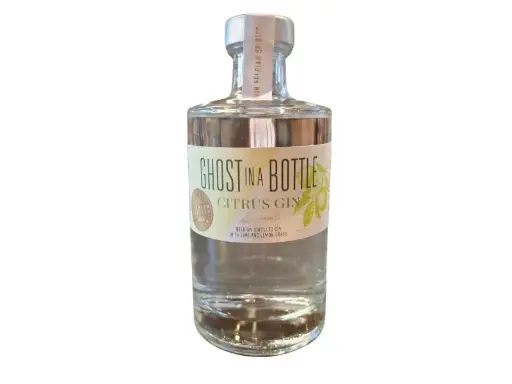 [GB.CGF350] Ghost in a Bottle - Citrus Gin 0,35L 